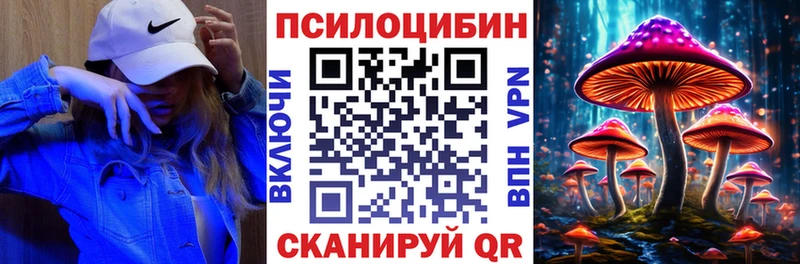 наркотики  Бабушкин  Галлюциногенные грибы Cubensis 